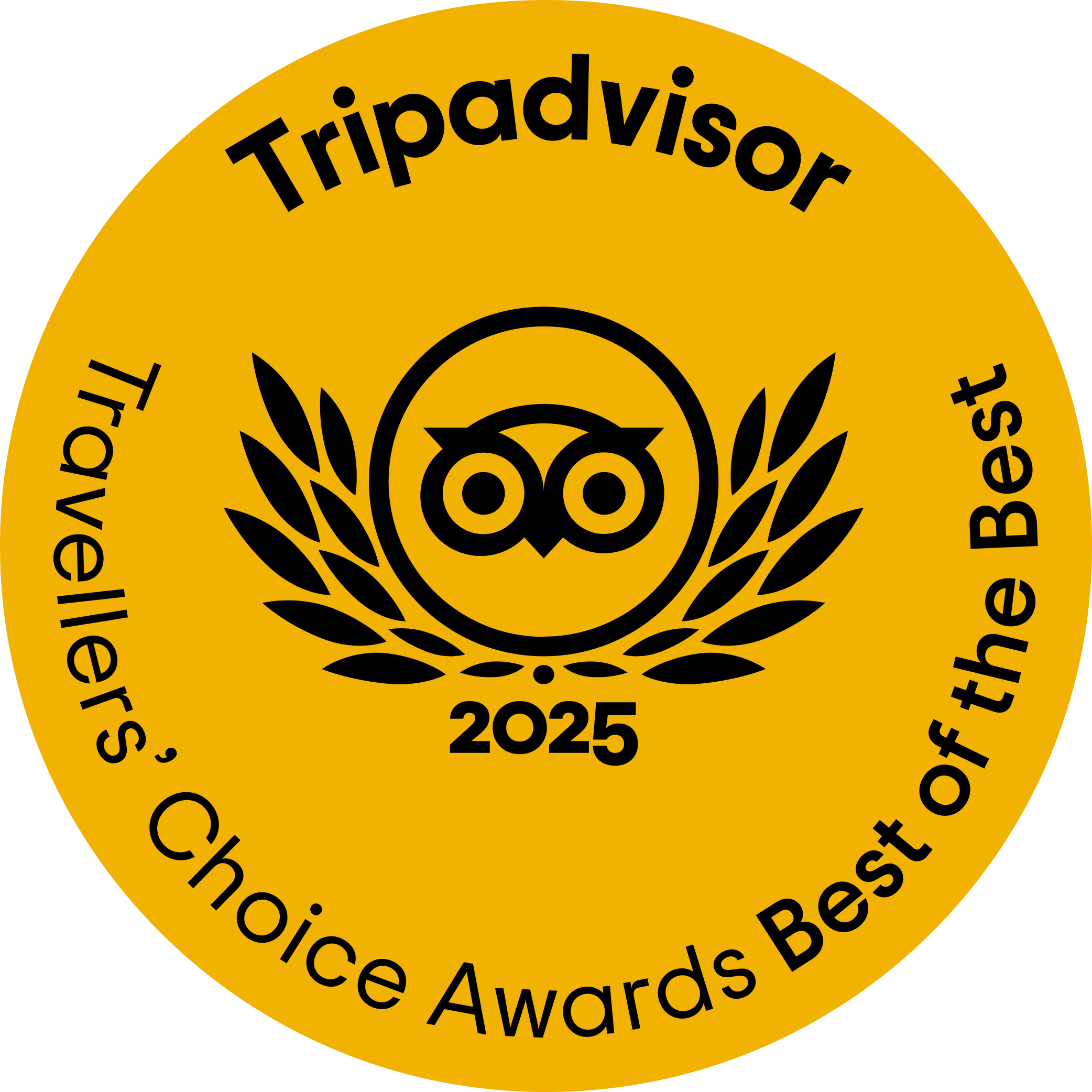 Tripadvisor Travellers Choice Best of the Best Award