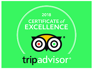 TripAdvisor Certificate of Excellence