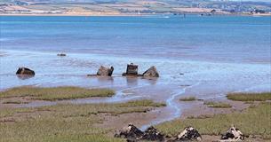 D-Day History Walk