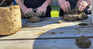 bug hotel