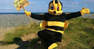 The Summer of Bees