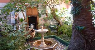 Chulmleigh Open Gardens
