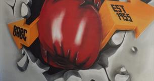 Barnstaple ABC Boxing Show