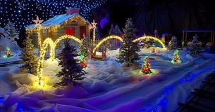 Woolly's Winter Wonderland