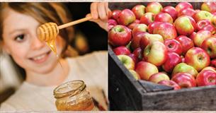 Apple & Honey Harvest