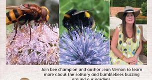 Bee Safari