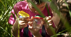 Ranger day: Bug hunting