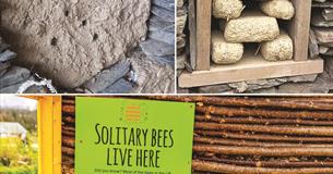 Building with Cob Workshop