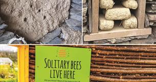 Building with Cob Workshop