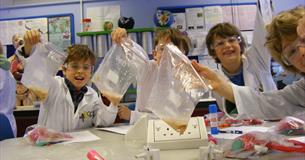 Saturday Science Club - Brain Freeze