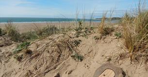 Cadbury Easter Trail