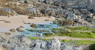 Rockpool Ramble
