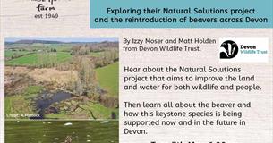 devon wildlife trust