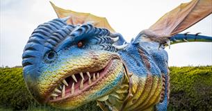 Dragon Day