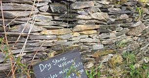 Dry Stone Walling Workshop