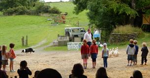 Farmyard Show