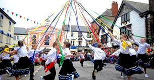 Great Torrington Mayfair 2019
