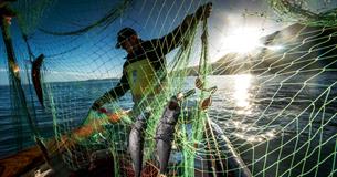 Clovelly Herring Festival