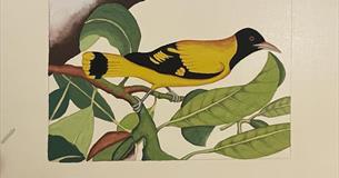 3 day Indian Miniature Painting Courses Taught by Samantha Buckley