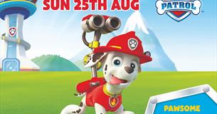 See Marshall from PAW Patrol