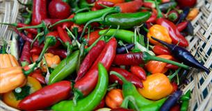 Festival of Flavours