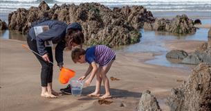 Rockpool Ramble