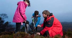 Tree Planting at Woolacombe (National Trust)
