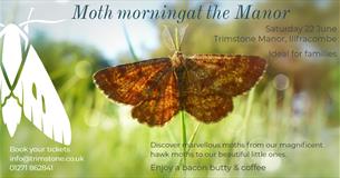 The Marvel of Moths at The Manor