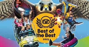 Milky way tripadvisor award - best of the best 2025