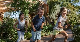 Summer holidays: The Great Garden Adventure