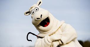Summer of Fun at The BIG Sheep