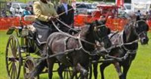 Woolsery Agricultural Show, Monday 27 July 2020, in aid of local charities