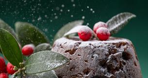 Magic of Christmas Food & Craft Fair