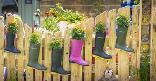 go green weekend rhs devon