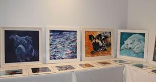 Art at Arlington: Ann Hyde exhibition