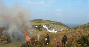 Family Volunteerting - Bash and Burn