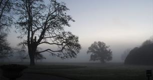 Spooky Night Walk at Arlington Court
