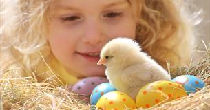 An Egg-ceptional Easter for Devon