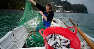 Clovelly Herring Festival