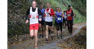 Combe Crawlers Run