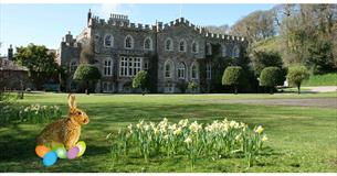 Easter Fun and Bluebells