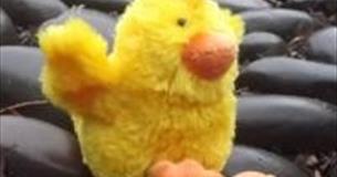 Easter – Find the Easter Chicks