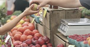 Lynton Farmers' Market