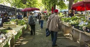 Taste of Autumn Artisan Food Fair