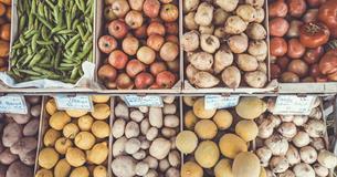 Ilfracombe Farmers' Market