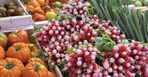 Combe Martin Farmers' Market