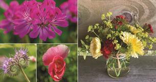 Flower Arranging & Forage Workshop with a cream tea!