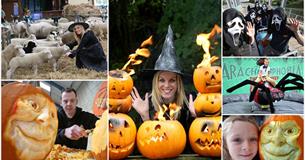 Halloween Festival