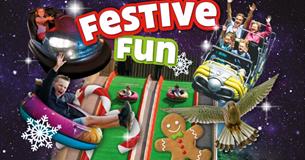 Festive Fun