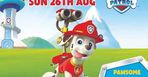 Meet Marshall from Paw Patrol